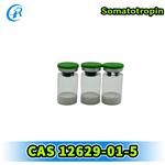 Somatotropin