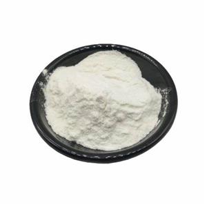 Hydroxypropyl methylcellulose phthalate