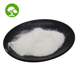 NSI-189 Phosphate