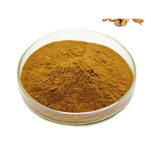 polygonum cuspidatum extract