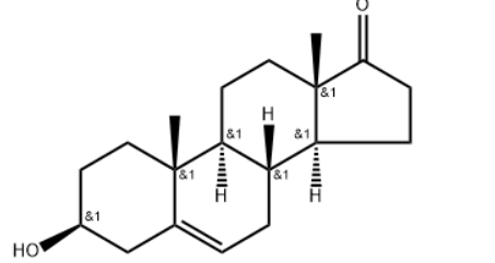 Dehydroepiandrosterone