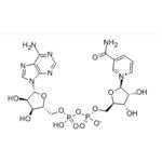 β-Nicotinamide adenine dinucleotide