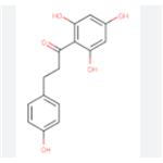 phloretin