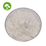 Hydroxypropyl methyl cellulose