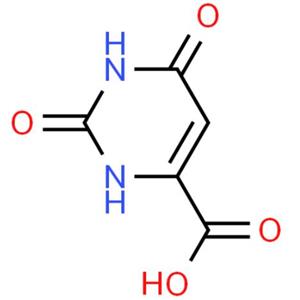 Orotic acid