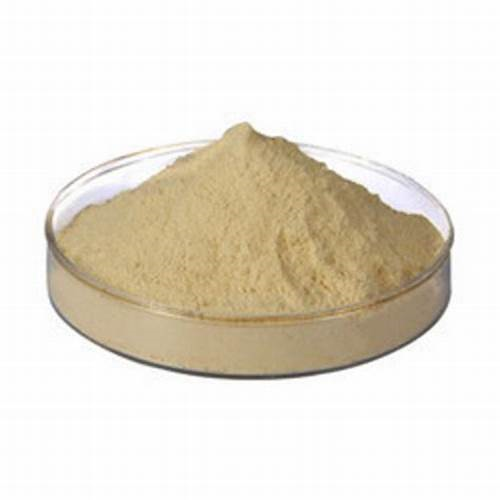 Soybean Lecithin