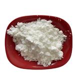 creatine monohydrate powder