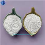 BUTYL 4-HYDROXYBENZOATE SODIUM SALT