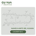 Atrial Natriuretic Peptide human