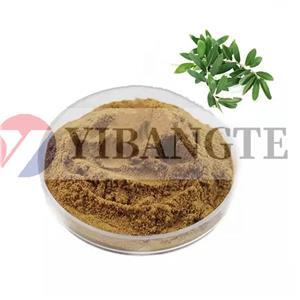 PRUNUS DOMESTICA FRUIT EXTRACT