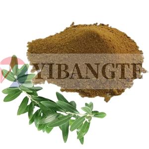 THYMUS SERPILLUM EXTRACT