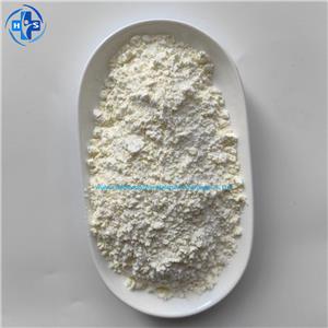 Papain Coarse-enzyme