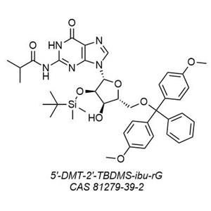 5'-DMT-2'-TBDMS-ibu-rG