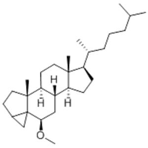 	3ALPHA,5-CYCLO-5ALPHA-CHOLESTAN-6BETA-OL METHYL ETHER