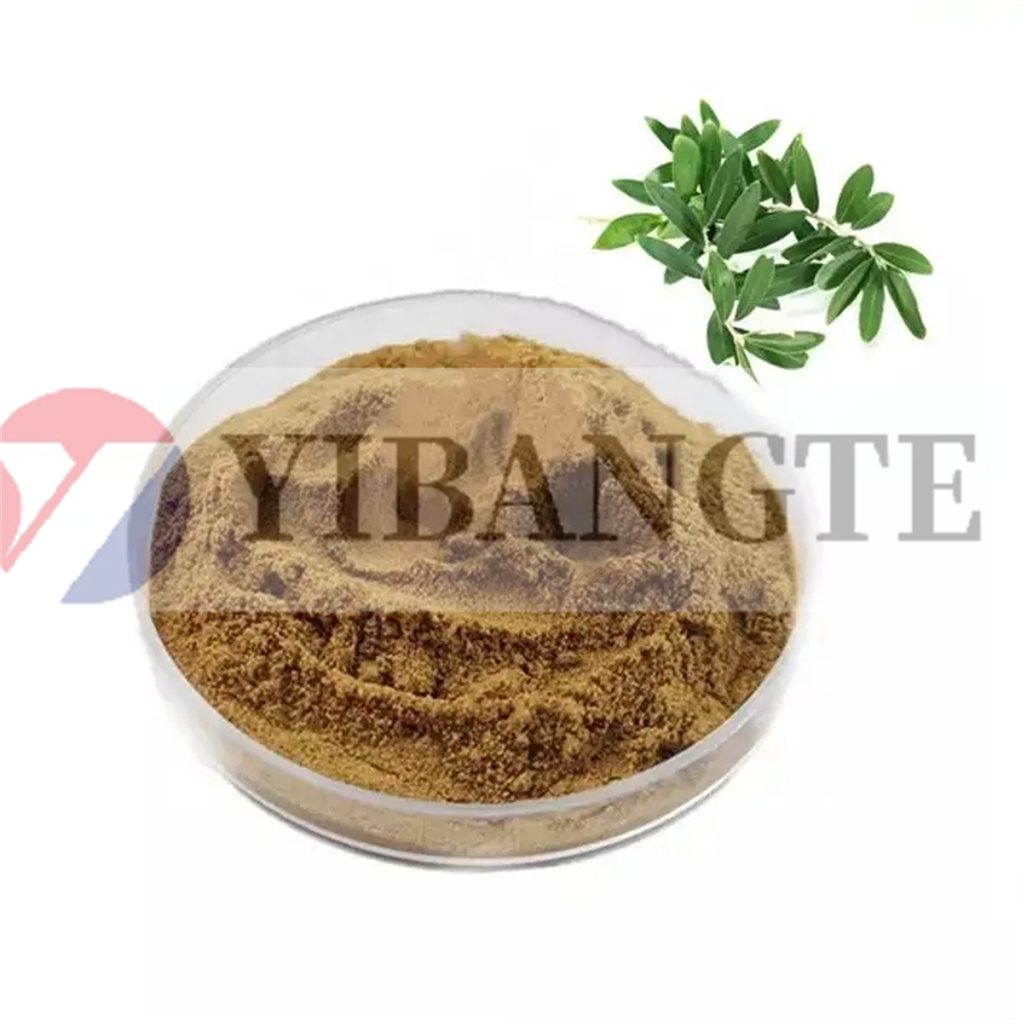 SCROPHULARIA NINGPOENSIS EXTRACT