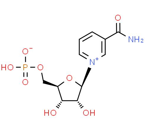 Nicotinamide mononucleotide