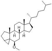 	3ALPHA,5-CYCLO-5ALPHA-CHOLESTAN-6BETA-OL METHYL ETHER