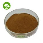 Cynomorium powder