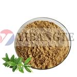 RHODIOLA ROSEA EXTRACT