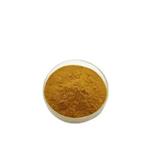 CYMBOPOGON CITRATUS EXTRACT