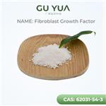 Fibroblast Growth Factor