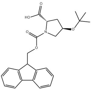 Fmoc-L-Hyp(tbu)-OH