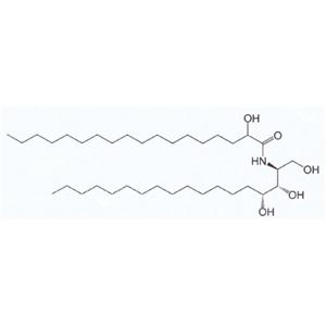 Water soluble Ceramide VI