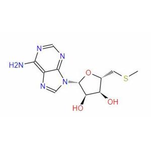 5'-S-Methyl-5'-thioadenosine