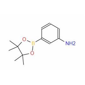 3-Aminophenylboronic acid pinacol ester