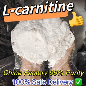 L-carnitine, Carnitine