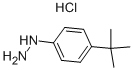 4-TERT-BUTYLPHENYLHYDRAZINE HYDROCHLORIDE