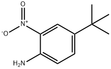 4-(TERT-BUTYL)-2-NITROANILINE