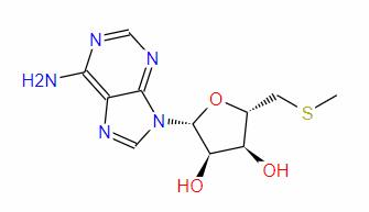 5'-S-Methyl-5'-thioadenosine