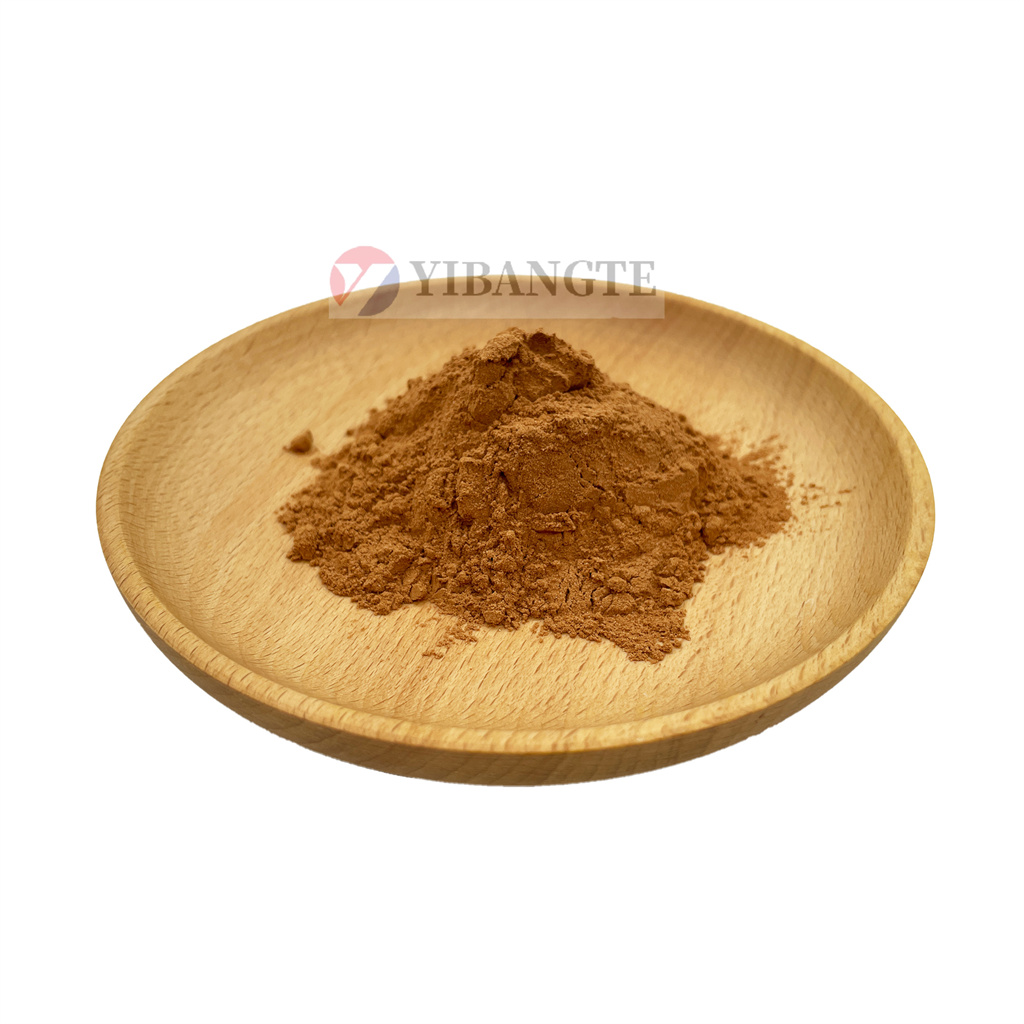 SAMBUCUS NIGRA FLOWER EXTRACT