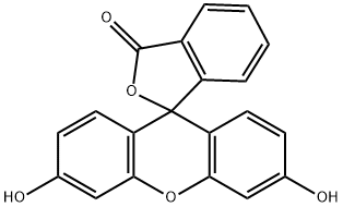 Fluorescein