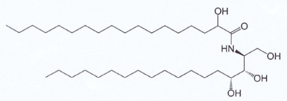 C18 CERAMIDE; N-Stearoyl-D-sphingosine; Ceramide NS