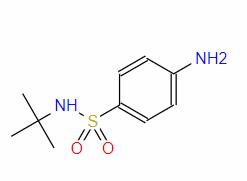 N-tert-Butyl-4-aminobenzenesulfonamide