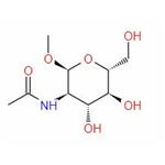 Methyl 2-Acetamido-2-deoxy-alpha-D-glucopyranoside