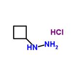 Cyclobutylhydrazine hydrochloride (1:1)