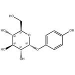 	alpha-Arbutin