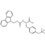 Fmoc-L-Tyr(tBu)-OH