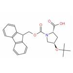 Fmoc-4-tert-butoxy-L-proline
