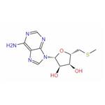 5'-S-Methyl-5'-thioadenosine