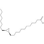 Polypropylene