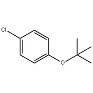 1-tert-Butoxy-4-chlorobenzene