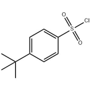 4-tert-Butylbenzenesulfonyl chloride