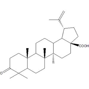 Betulonicacid