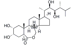 Epibrassinolide