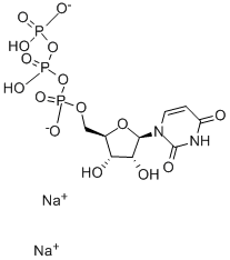 URIDINE-13C9, 15N2-5 TRIPHOSPHATE SODI U