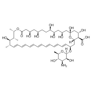 Amphotericin B